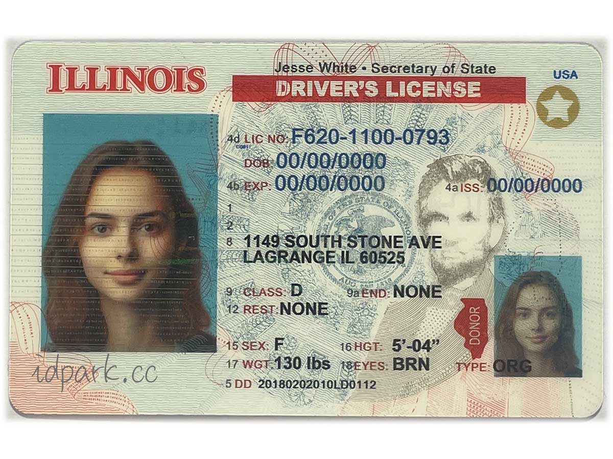 Illinois fake ID card